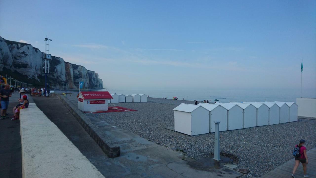 Goeland Le Treport