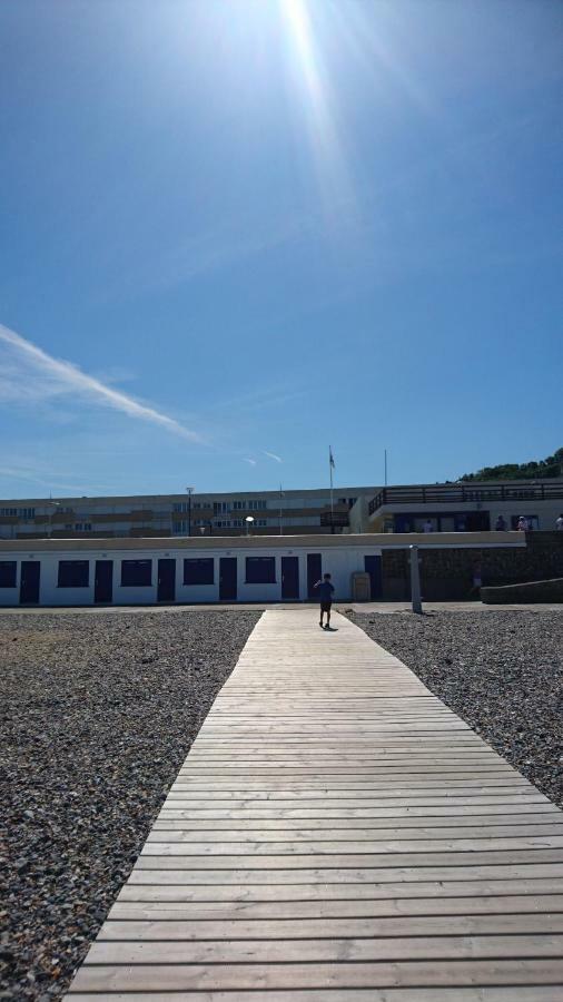 Goeland * Le Tréport
